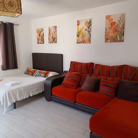 Estudio A 50mt Del Mar, Zona Palacio De Congresos Apto 7 公寓 埃斯特波纳